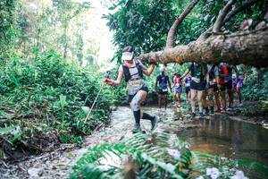 BIB: 
                            <button type="button" onclick="openModal(25449726)" class="btn btn-primary btn-sm float-right btn-popup" data-toggle="modal" data-target=".modal-high-quality">
                        <i class="fas fa-shopping-cart"></i> Add to Cart
                    </button>
                                            <button type="button" onclick="isThisMe(25449726, true)" class="btn btn-success btn-sm float-right btn-popup btn-isme hidden" data-toggle="tooltip" data-placement="bottom" title="นี่คือรูปของคุณใช่ไหม คลิกที่นี่เพื่อเอาเข้าอัลบั้ม">
                        <i class="fas fa-plus"></i> Add to album
                    </button>
                    <button type="button" onclick="isThisMe(25449726, false)" class="btn btn-warning btn-sm float-right btn-popup btn-isnotme hidden">
                        <i class="fas fa-ban"></i> Remove from album
                    </button>